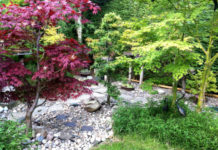 Il giardino roccioso 797 0 100 Il giardino roccioso